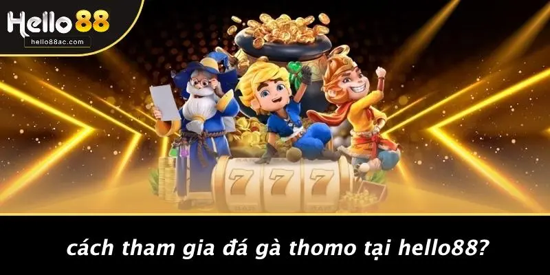 Cách Tham Gia Đá Gà Thomo Tại HELLO88?