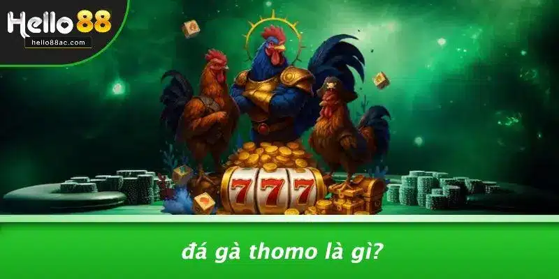 Đá Gà Thomo Là Gì?