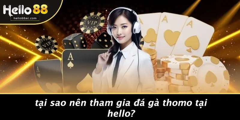 Tại Sao Nên Tham Gia Đá Gà Thomo Tại HELLO?